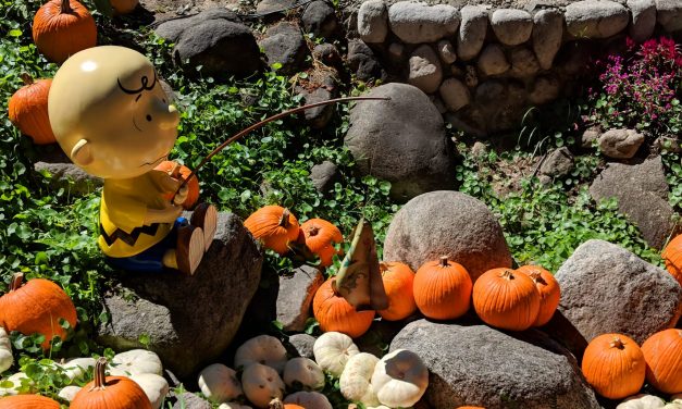 Knott’s Spooky Farm: A MUST GO!